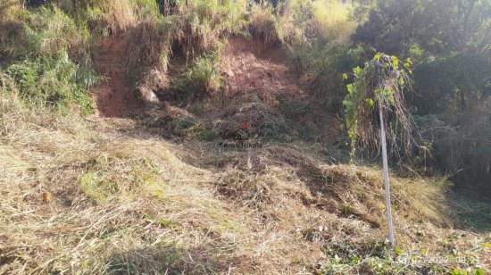 lote-venda-jardim-casa-branca-betim-787558