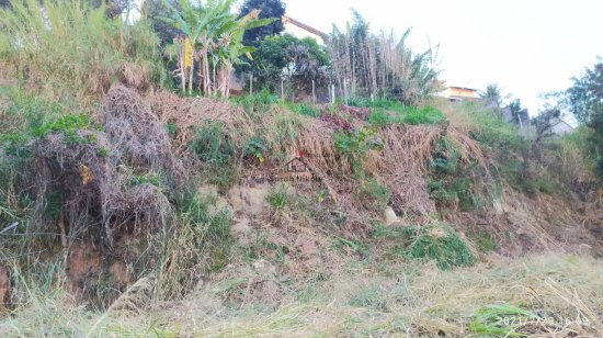 lote-venda-jardim-casa-branca-betim-787568