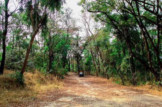 terreno-venda-parque-ipiranga-betim-1043331