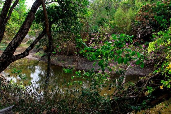 terreno-venda-parque-ipiranga-betim-1043332